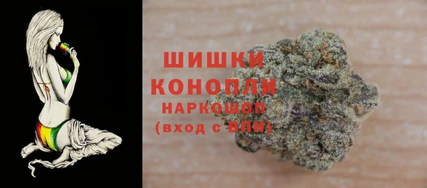 соль ск Ельня
