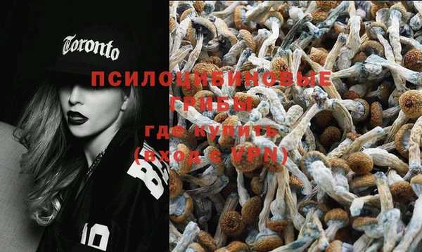 кристаллы Дмитров