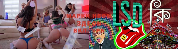 МДПВ Елабуга