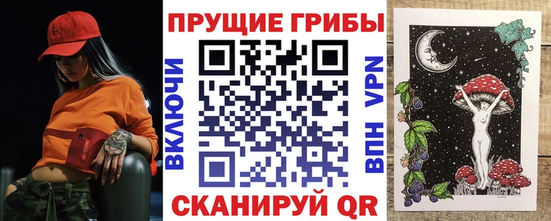 Галлюциногенные грибы Psilocybe  Камышлов 